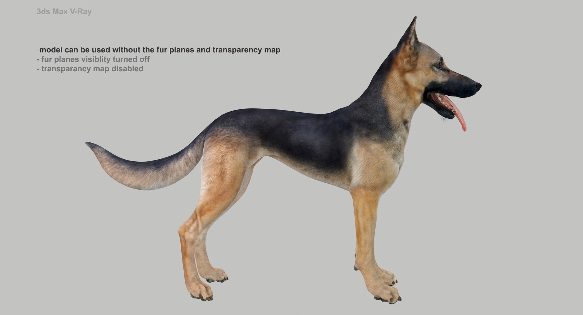 belgian shepherd dog black 3d max https://p.turbosquid.com/ts-thumb/zc/j8KJ9W/TDBnCbdr/maxvray_nofurplanes/jpg/1443982603/1920x1080/fit_q87/88546e59f2a138f8849554bd88a55e1215ae316a/maxvray_nofurplanes.jpg