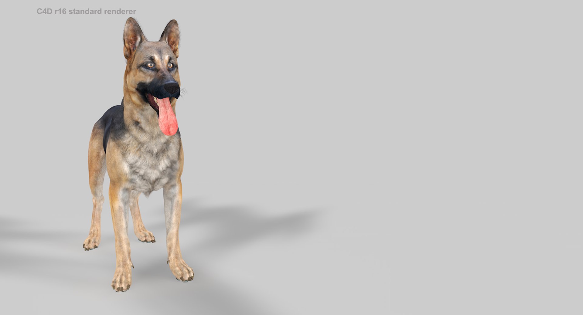 belgian shepherd dog black 3d max https://p.turbosquid.com/ts-thumb/zc/j8KJ9W/VGgdyO6W/c4d16_4/jpg/1443761708/1920x1080/fit_q87/489dbd2ef801768a7e656de4536d31303653cf1e/c4d16_4.jpg