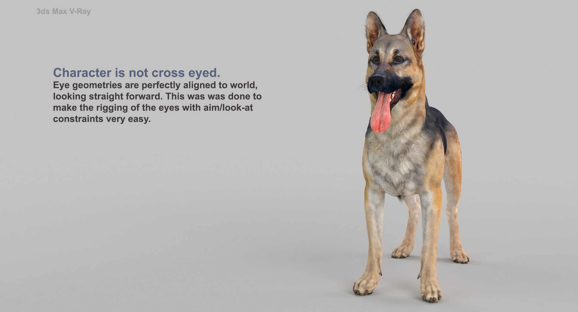 belgian shepherd dog black 3d max https://p.turbosquid.com/ts-thumb/zc/j8KJ9W/XacUPDWx/maxvray3/jpg/1443727104/1920x1080/fit_q87/1682aba295af5294e0731430a854b7f4769bf065/maxvray3.jpg