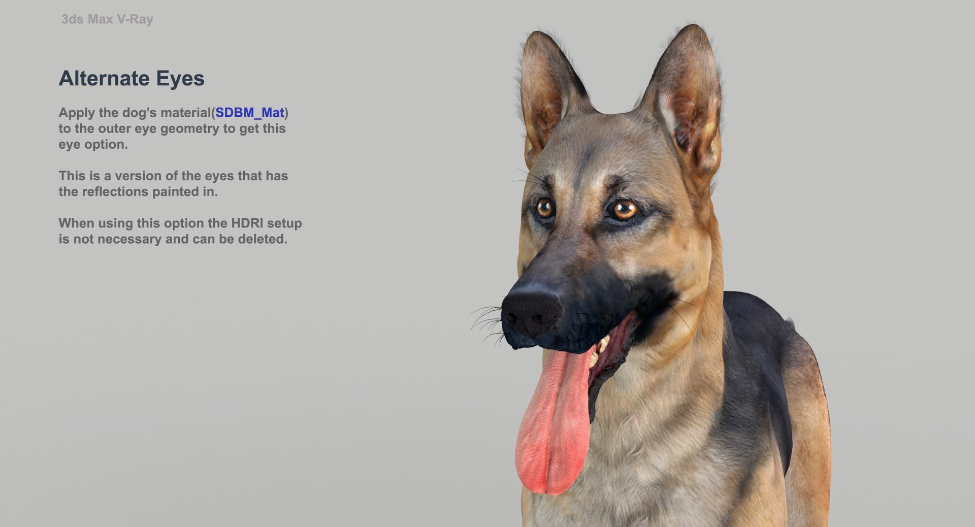 belgian shepherd dog black 3d max https://p.turbosquid.com/ts-thumb/zc/j8KJ9W/ivqFvxee/maxvray9b/jpg/1444005447/1920x1080/fit_q87/718cd260e9c03a2aa78601bd51eb8294d67d4cdc/maxvray9b.jpg