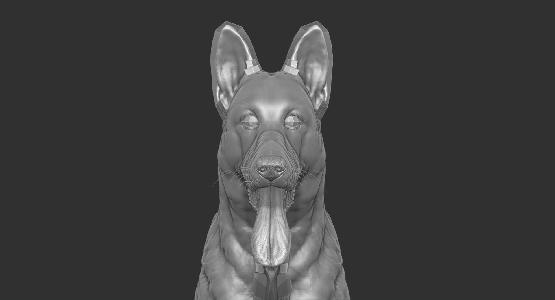 belgian shepherd dog black 3d max https://p.turbosquid.com/ts-thumb/zc/j8KJ9W/m5ap8dAp/zed6/jpg/1443915319/1920x1080/fit_q87/14447830cc0c775b26e14e4404b85124c63a0137/zed6.jpg
