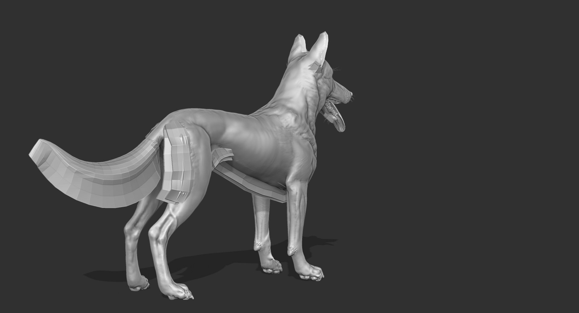 belgian shepherd dog black 3d max https://p.turbosquid.com/ts-thumb/zc/j8KJ9W/nxAIjT2Z/zed3/jpg/1443915319/1920x1080/fit_q87/44cd373ef3a95459132b35296ec116ada9492ecd/zed3.jpg