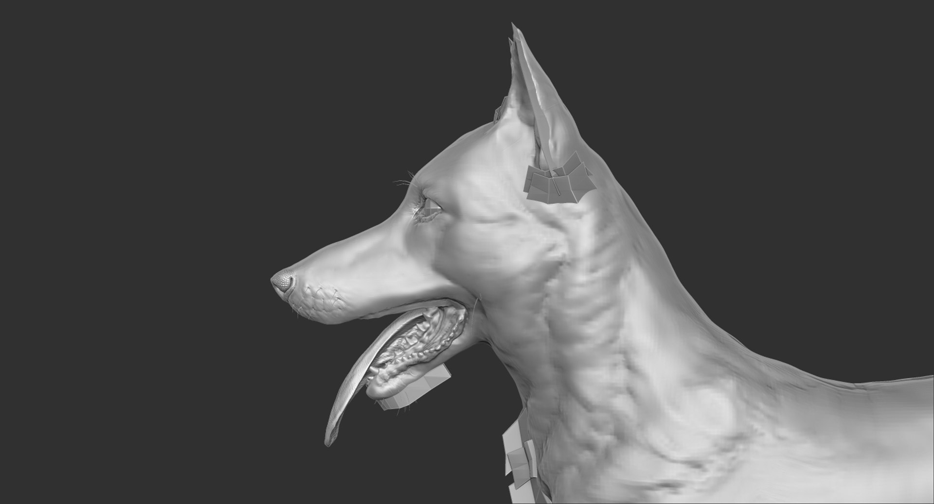belgian shepherd dog black 3d max https://p.turbosquid.com/ts-thumb/zc/j8KJ9W/rKAL02Sn/zed7/jpg/1443915319/1920x1080/fit_q87/958c3caeedde184c7962be7f91943af96ffb0bfd/zed7.jpg