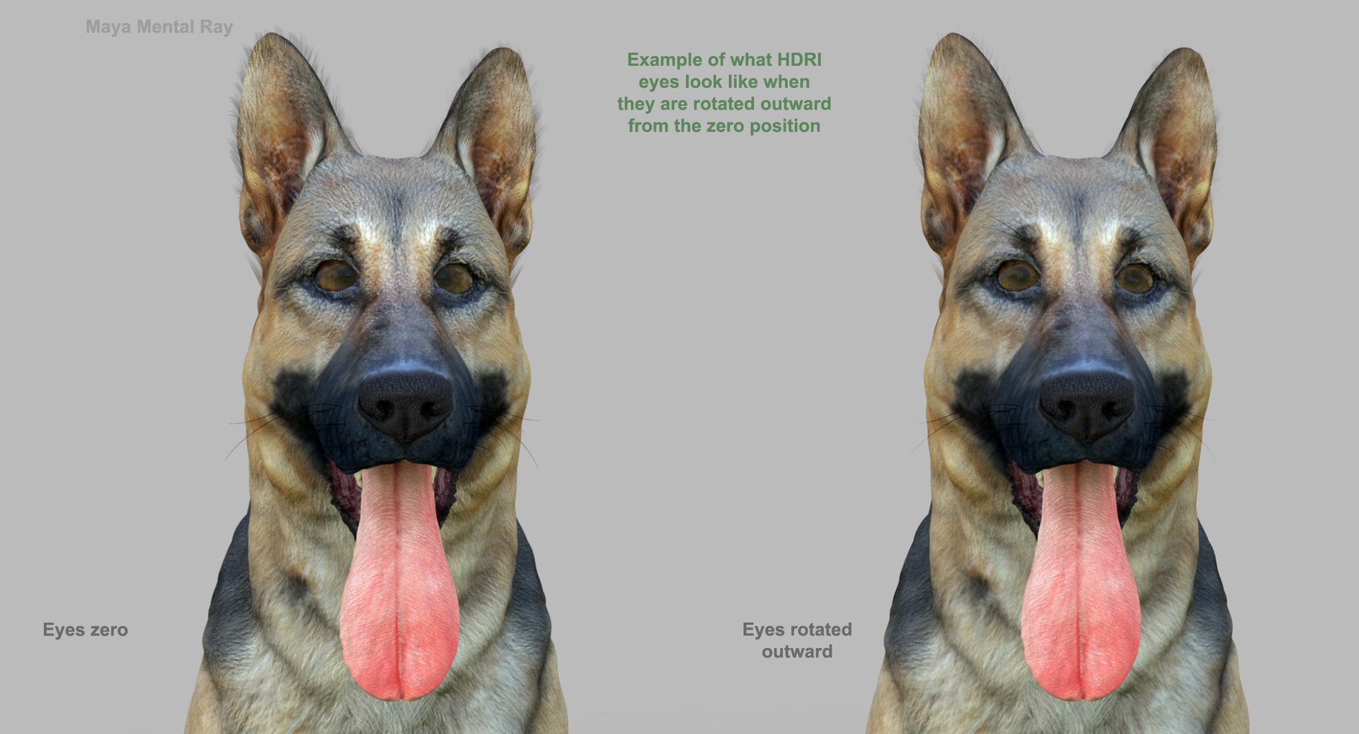 belgian shepherd dog black 3d max https://p.turbosquid.com/ts-thumb/zc/j8KJ9W/ryrZIaAw/maya3/jpg/1443732728/1920x1080/fit_q87/c619255179bd5a07c317b61295c62fc0475766d5/maya3.jpg