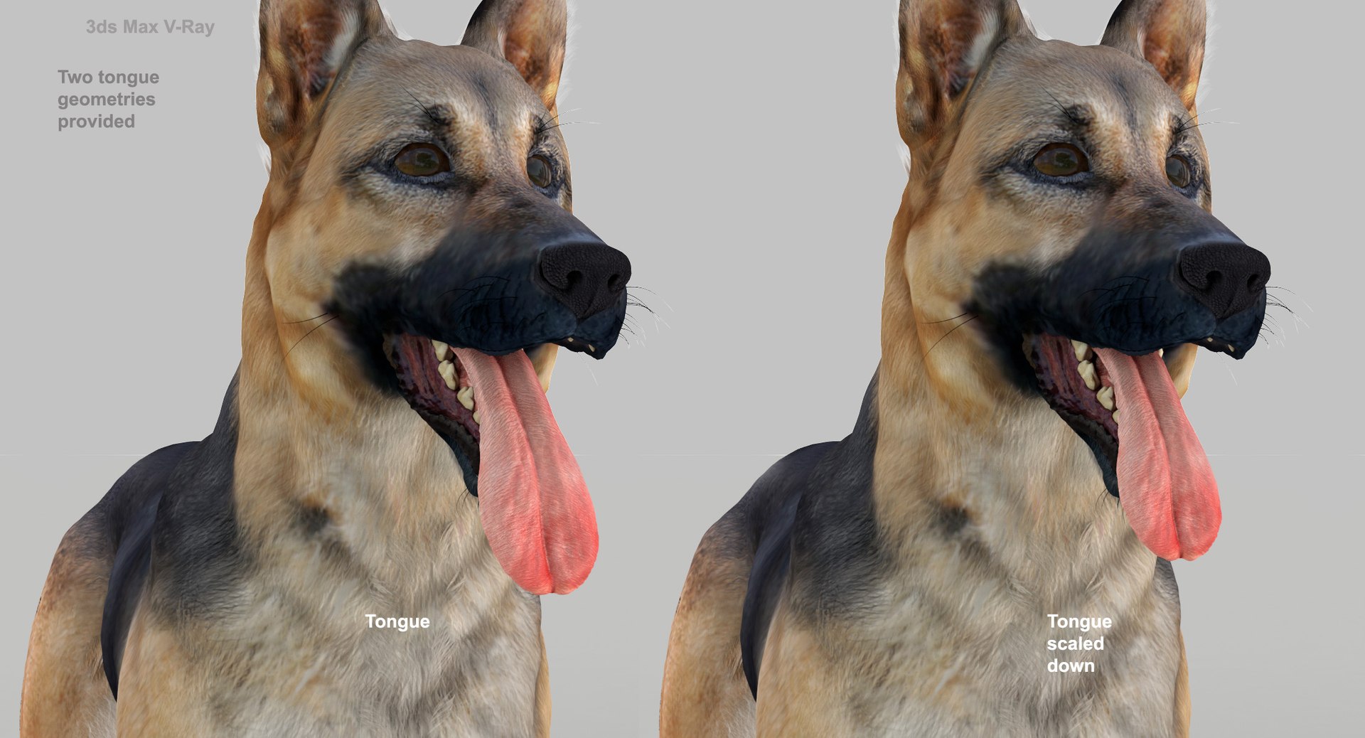 belgian shepherd dog black 3d max https://p.turbosquid.com/ts-thumb/zc/j8KJ9W/sJCkJSdu/tonguecomp/jpg/1443727104/1920x1080/fit_q87/86218c1ef1e760df8106e37e9c715d9104750eca/tonguecomp.jpg