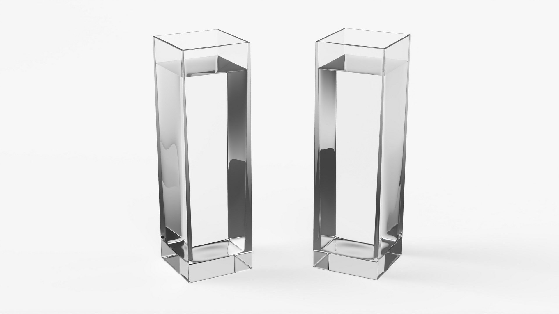 Tall Clear Glass Vase with Water 3D model preview