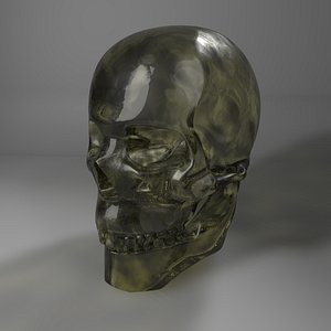 old glass skull l767 3D model