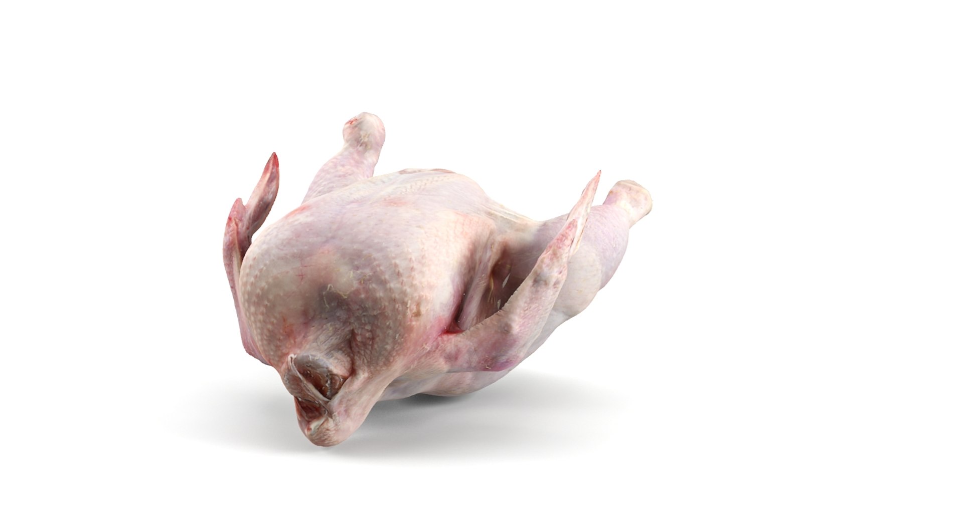 3ds Raw Chickens