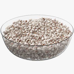 Popcorn Plate