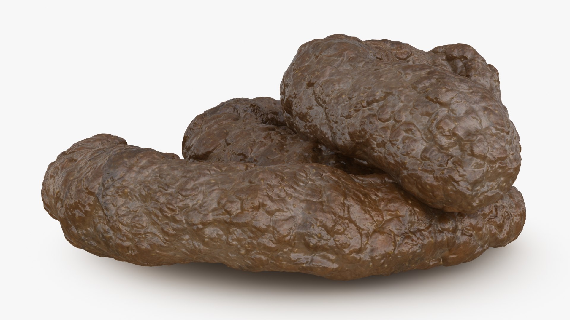 3D model Poop 02 https://p.turbosquid.com/ts-thumb/zc/rPf4Jh/HF/poop_02_b0008/jpg/1671288489/1920x1080/fit_q87/0348cbf284bd73a8985c9e83905ac01c72f571fd/poop_02_b0008.jpg