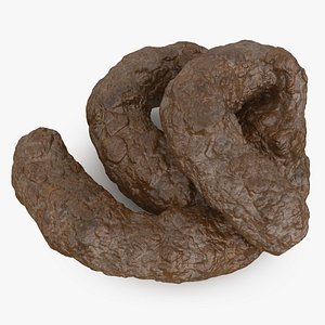 3D model Poop 02