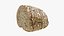 Sliced Oat Bread Collection