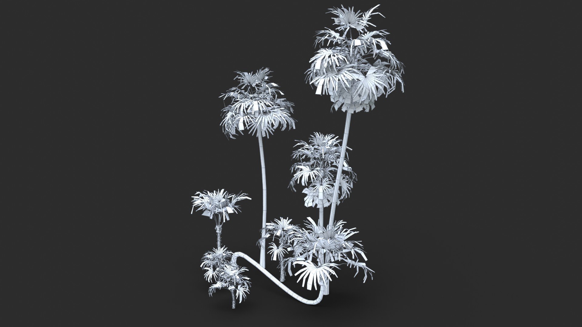 Modular Green Thatch Palm Tree - Thrinax Radiata 3D https://p.turbosquid.com/ts-thumb/zc/vIOkg9/CU/wire_0060/jpg/1702322376/1920x1080/fit_q87/ac7871310176274381276e68b7bc62d626c07c6f/wire_0060.jpg