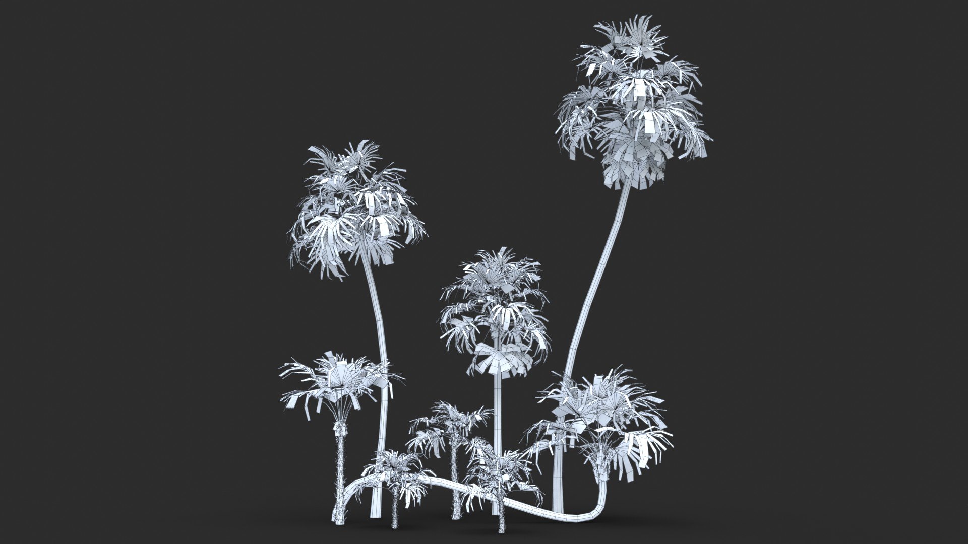 Modular Green Thatch Palm Tree - Thrinax Radiata 3D https://p.turbosquid.com/ts-thumb/zc/vIOkg9/T1/wire_0050/jpg/1702322375/1920x1080/fit_q87/8a2447790dde639317451c318b34fa3accba0c73/wire_0050.jpg