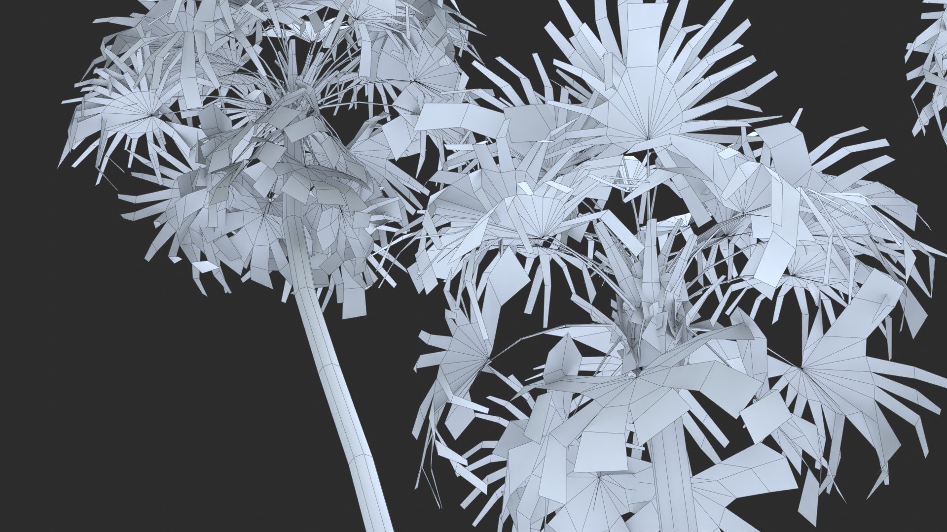 Modular Green Thatch Palm Tree - Thrinax Radiata 3D https://p.turbosquid.com/ts-thumb/zc/vIOkg9/ix/wire_0110/jpg/1702322378/1920x1080/fit_q87/c786dcb78f938b6542a9514b272338900c45374c/wire_0110.jpg