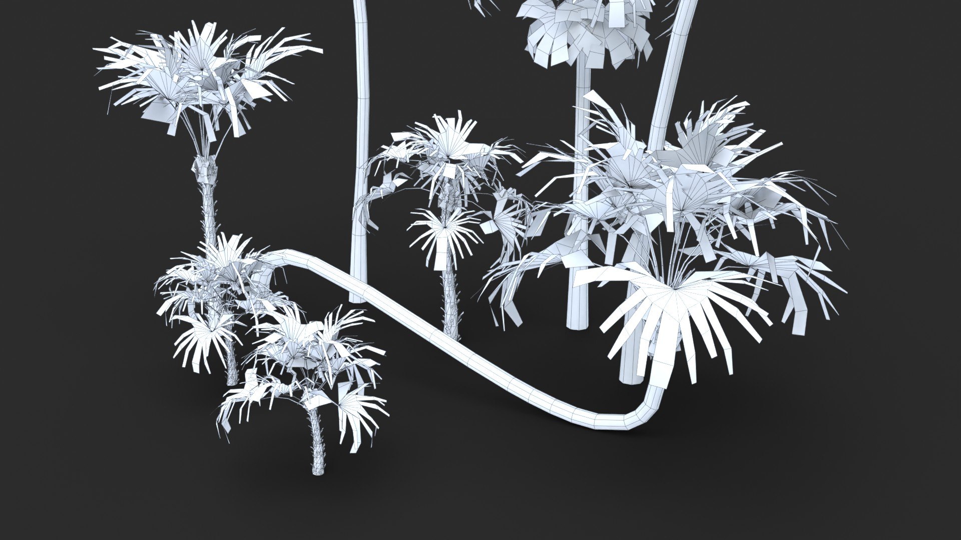 Modular Green Thatch Palm Tree - Thrinax Radiata 3D https://p.turbosquid.com/ts-thumb/zc/vIOkg9/qj/wire_0120/jpg/1702322379/1920x1080/fit_q87/56c3483617a407b10af96d070833d733982976ab/wire_0120.jpg