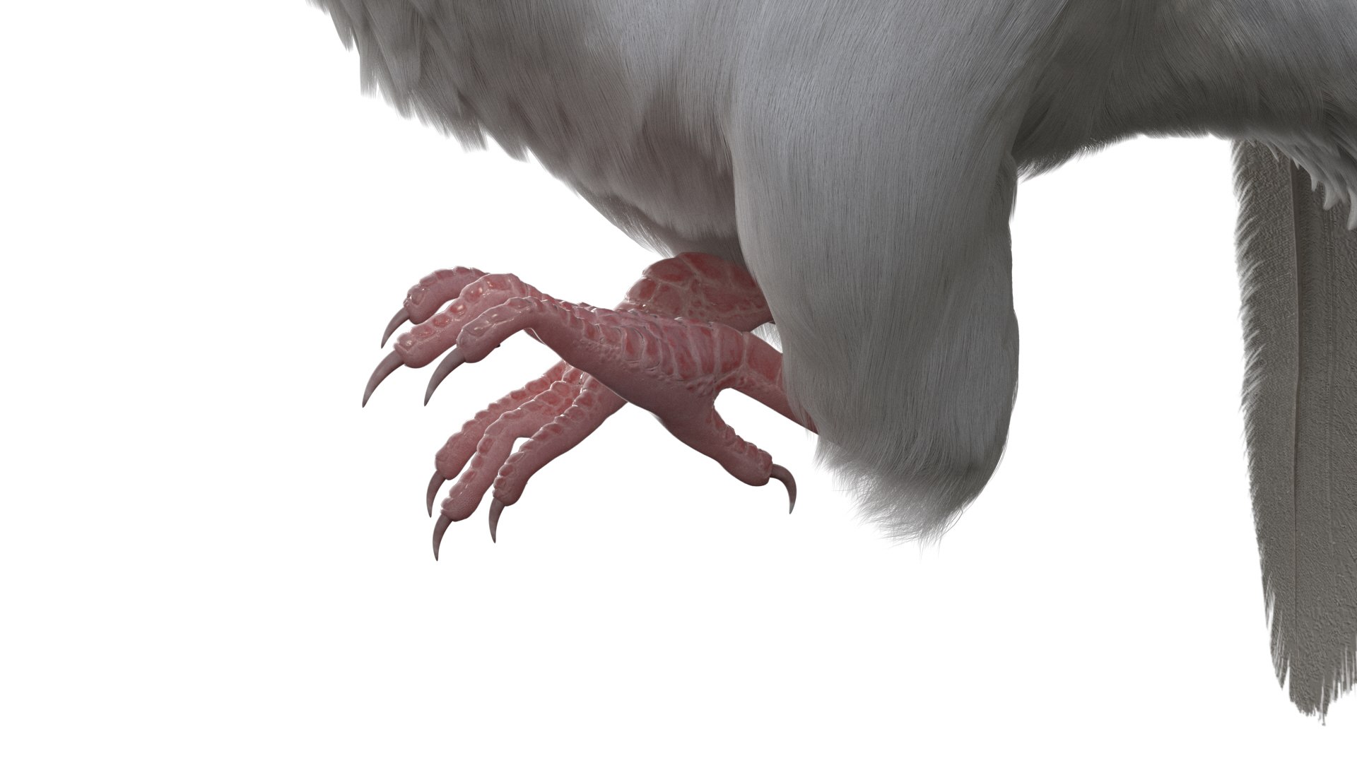 rigging dove fur anatomy 3D https://p.turbosquid.com/ts-thumb/zd/0yxuGi/7rRwRv2p/15/jpg/1584067922/1920x1080/fit_q87/359c96873279b49589bdfe4565570b27acf983b7/15.jpg