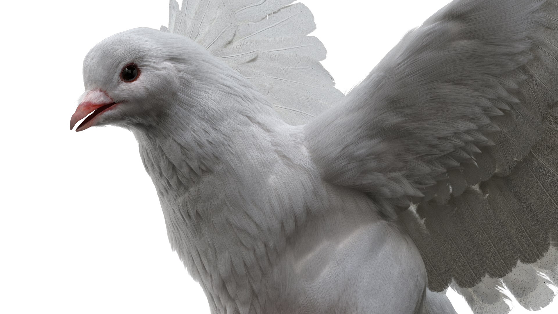 rigging dove fur anatomy 3D https://p.turbosquid.com/ts-thumb/zd/0yxuGi/Flh0N7Sm/09/jpg/1584067922/1920x1080/fit_q87/8946843924d4eac455089c750bdeff919ac9af1d/09.jpg