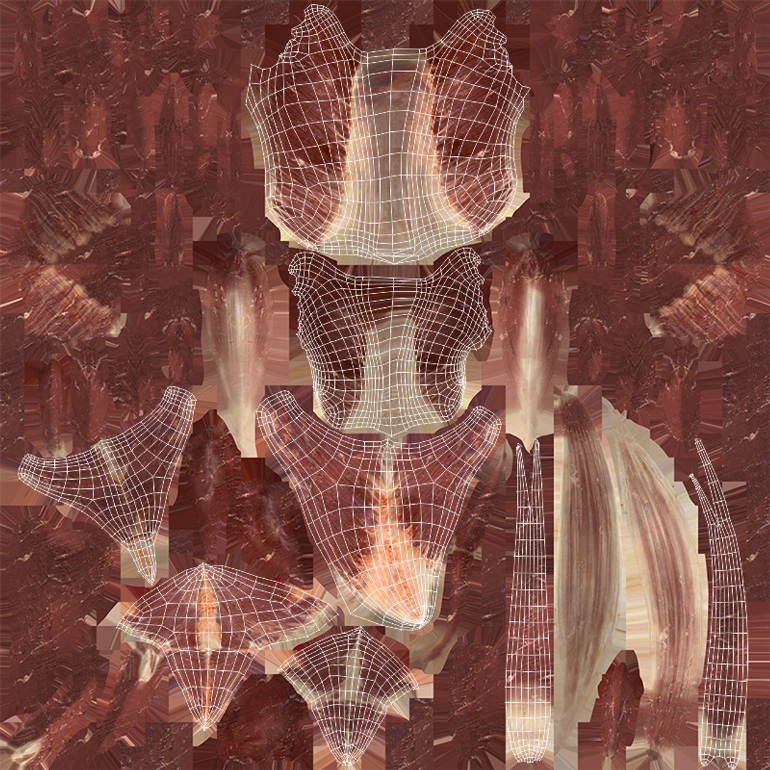 rigging dove fur anatomy 3D https://p.turbosquid.com/ts-thumb/zd/0yxuGi/G1bvNv0E/71/jpg/1584067923/1920x1080/fit_q87/54cd70756059d605296cf0b2c3f44d30a2aa8683/71.jpg