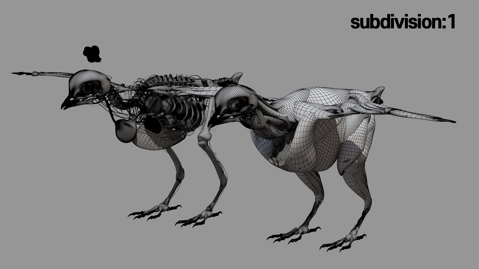 rigging dove fur anatomy 3D https://p.turbosquid.com/ts-thumb/zd/0yxuGi/nJDHHFyZ/65/jpg/1584067923/1920x1080/fit_q87/acaf7e84dc41f07d0d7d3afc08d589c8a276ee75/65.jpg