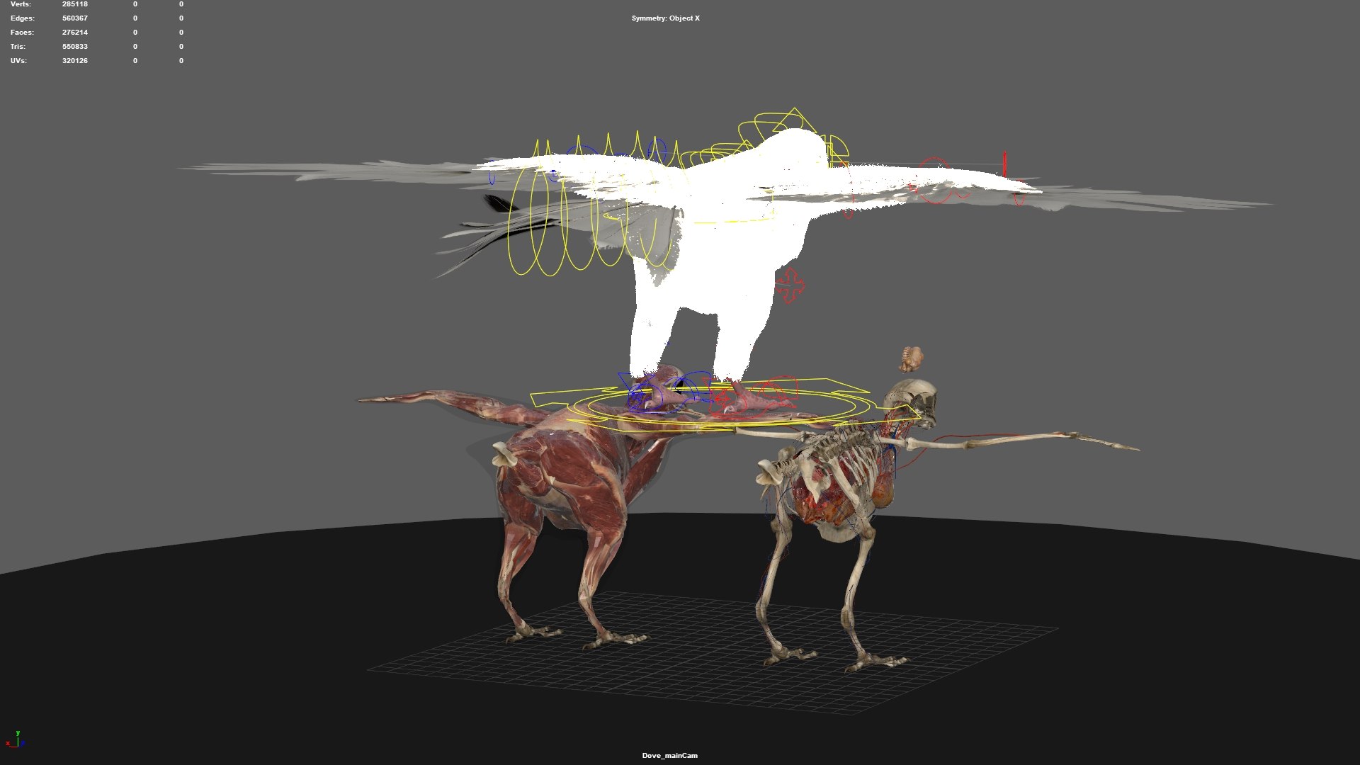 rigging dove fur anatomy 3D https://p.turbosquid.com/ts-thumb/zd/0yxuGi/sBdqmvuh/69/jpg/1584067923/1920x1080/fit_q87/8cb6a98fa9e0c0a415a0bfcf2b77ab66b089bc04/69.jpg