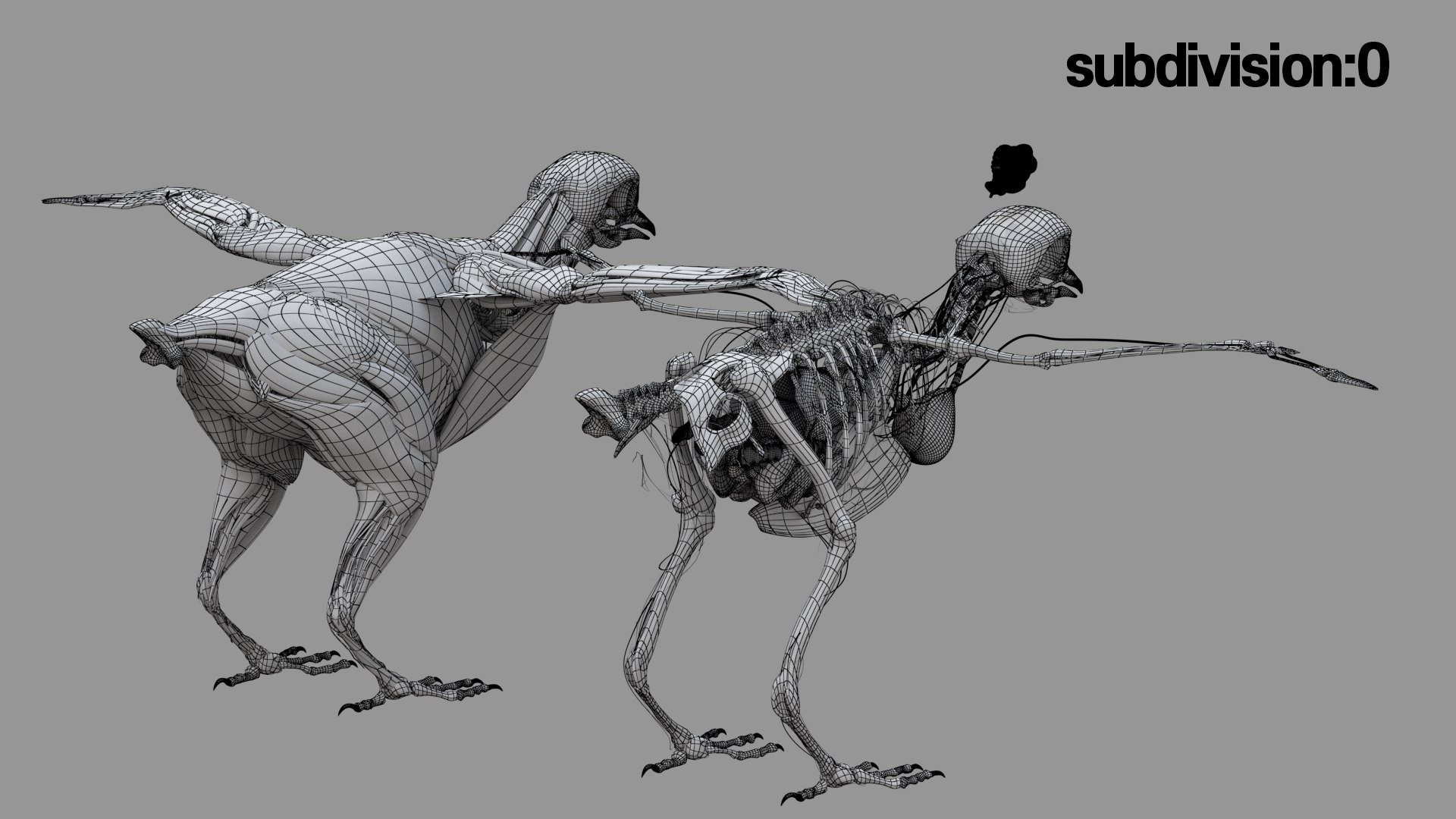 rigging dove fur anatomy 3D https://p.turbosquid.com/ts-thumb/zd/0yxuGi/skUI4Afc/66/jpg/1584067923/1920x1080/fit_q87/e2b2e7ef4f152a5bb17ccf961eb3c8cc3f4491fa/66.jpg