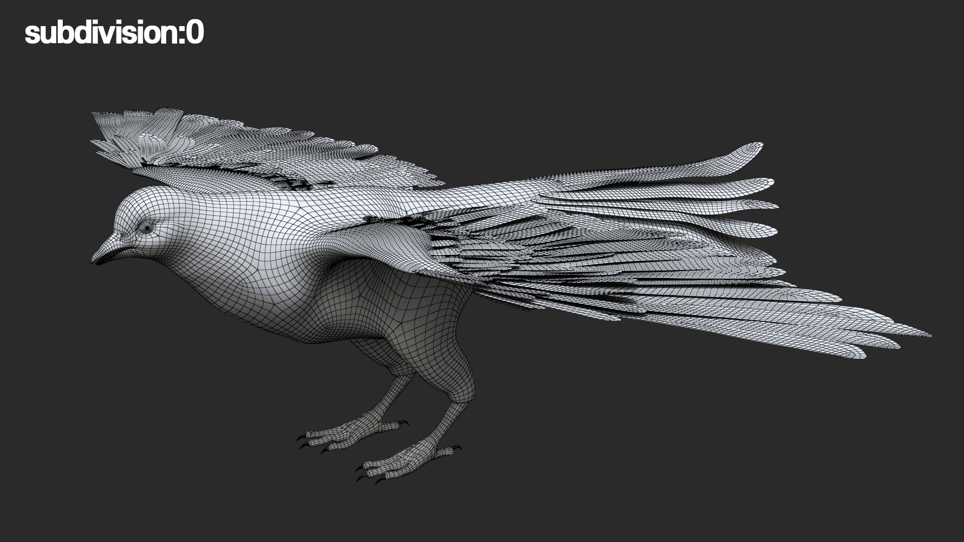 rigging dove fur anatomy 3D https://p.turbosquid.com/ts-thumb/zd/0yxuGi/yDyqmvjm/60/jpg/1584067922/1920x1080/fit_q87/8412c3630a652910edc4a3d406591e5945f80231/60.jpg