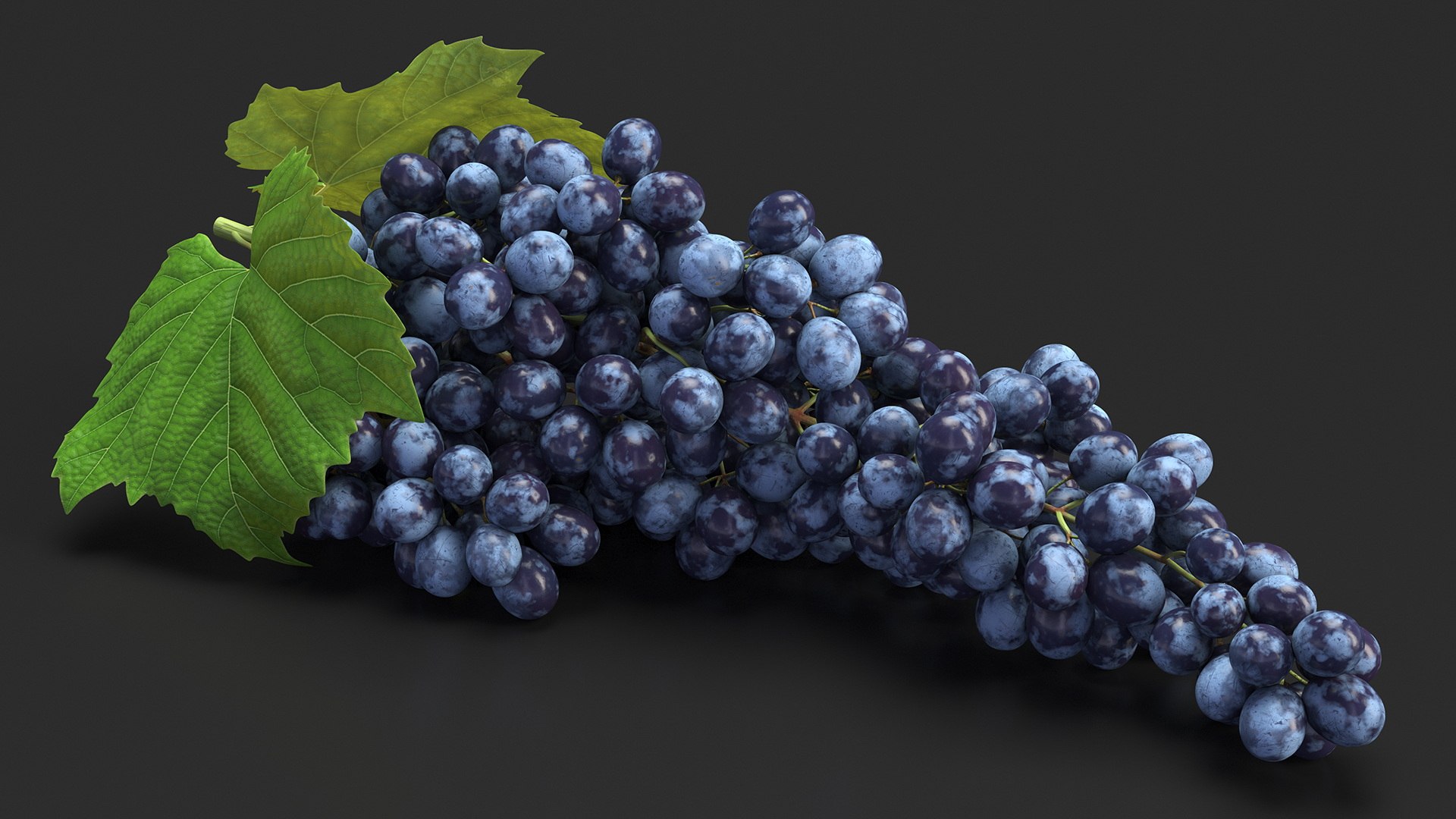 3D Sultana Blue Grape Cluster Lying Model TurboSquid 2179978
