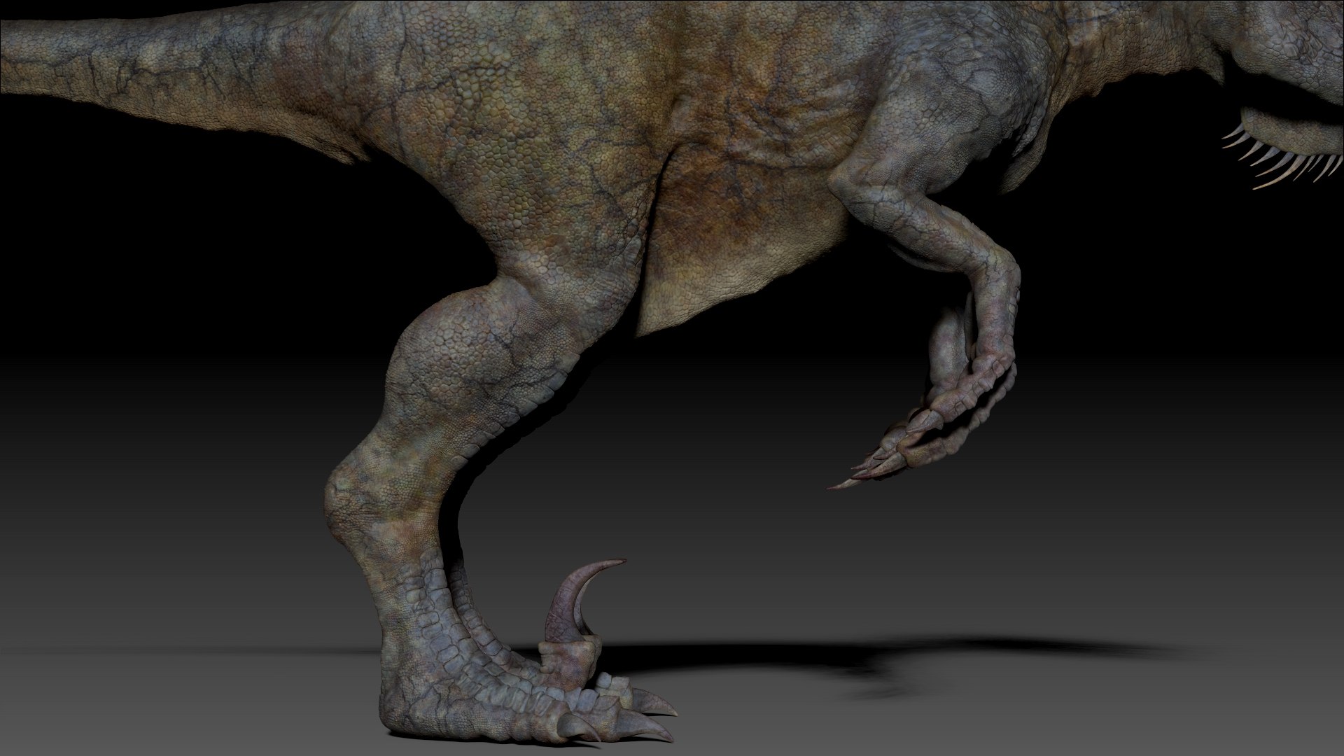 3D UtahRaptor SCULPT Project https://p.turbosquid.com/ts-thumb/zd/McjIE9/nL/07/jpg/1646687362/1920x1080/fit_q87/659ddf72b282af1559e130a0ced148801ade021d/07.jpg