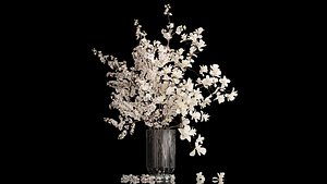 White sakura bouquet cherry blossoms Magnolia 340