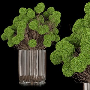 Collection plant vol 130 3D model