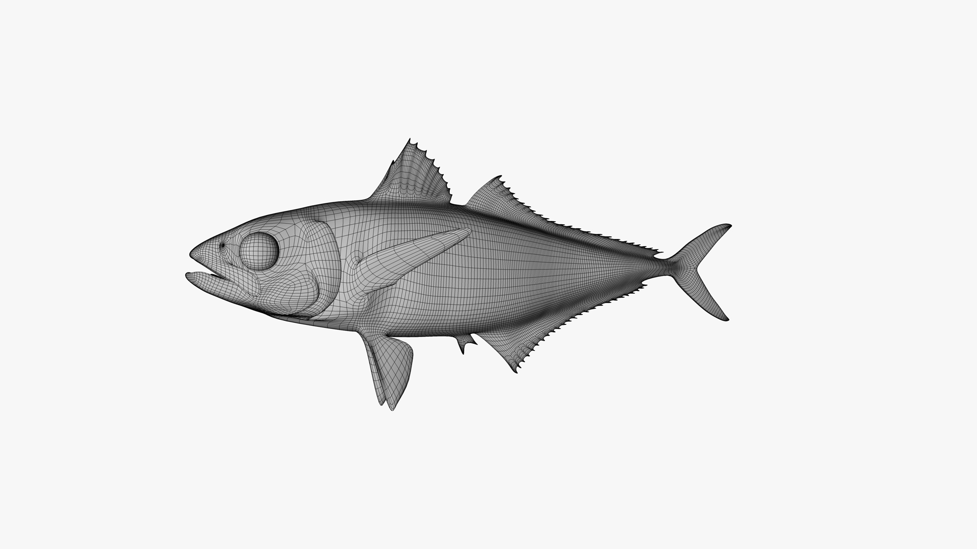 Japanese Jack Mackerel 3D https://p.turbosquid.com/ts-thumb/zd/pPljvx/DN/0000/png/1736013617/1920x1080/turn_fit_q99/5dd31155546cfed87376fc1087e02d8ff7c9fa6c/0000-1.jpg