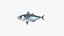 Japanese Jack Mackerel