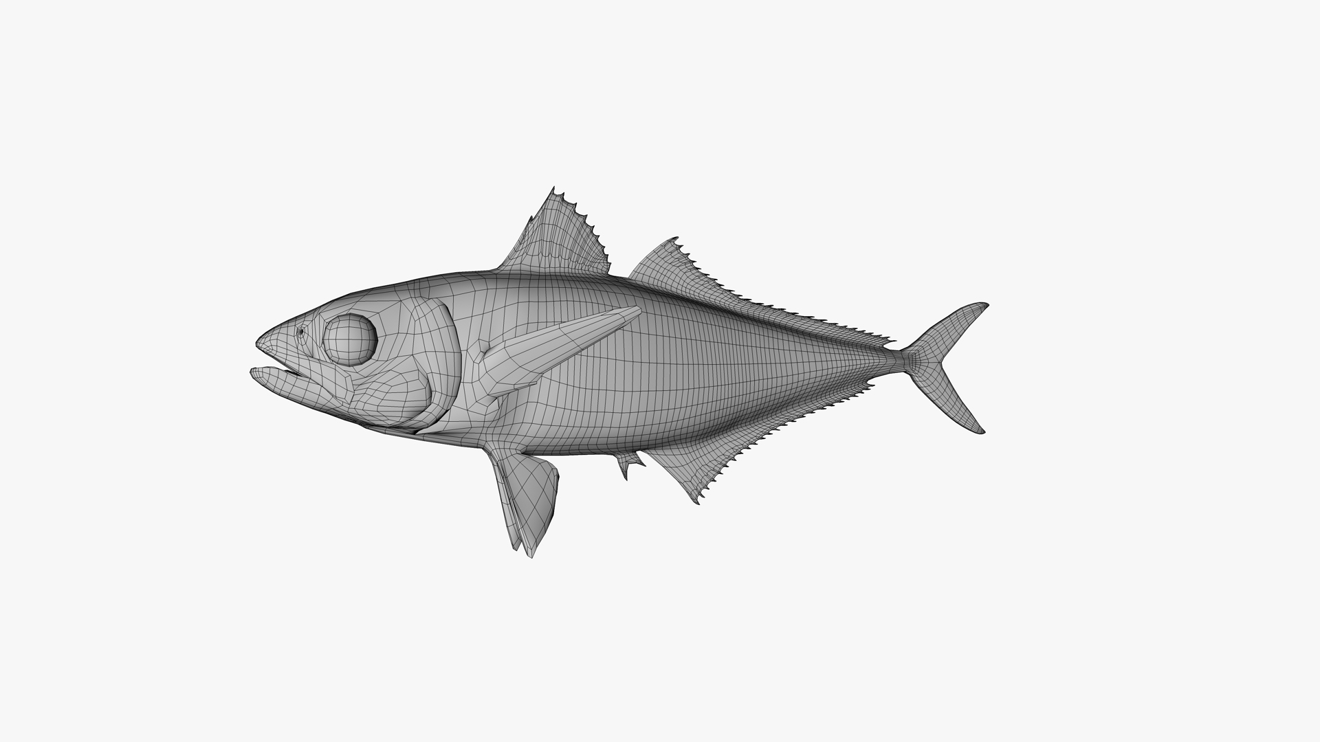 Japanese Jack Mackerel 3D https://p.turbosquid.com/ts-thumb/zd/pPljvx/bI/0000/png/1736013678/1920x1080/turn_fit_q99/16d0991da042f59762ecc5b1869ad564e997b31d/0000-1.jpg