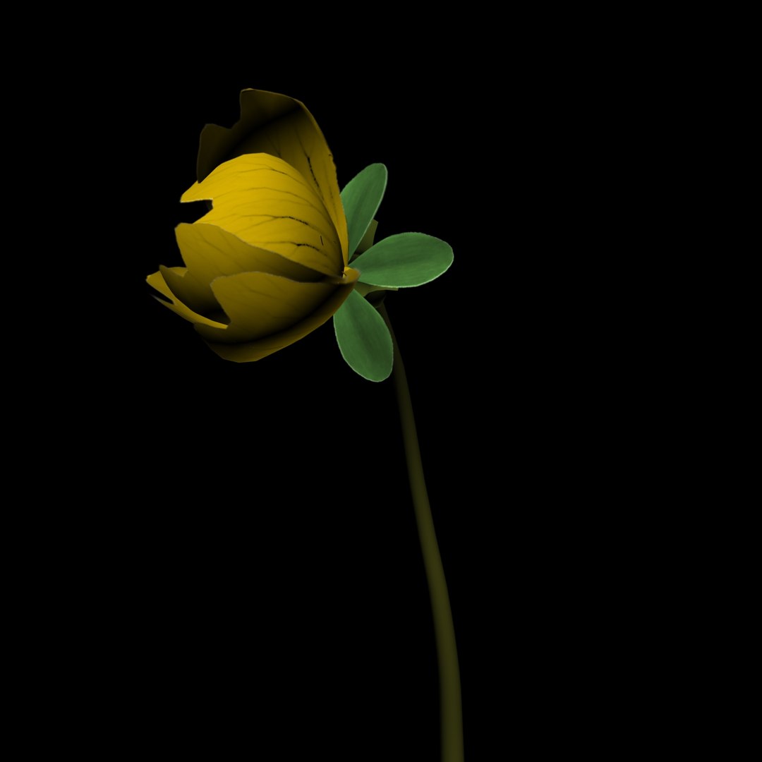 3D Flowers Open Animation Model - TurboSquid 1589263