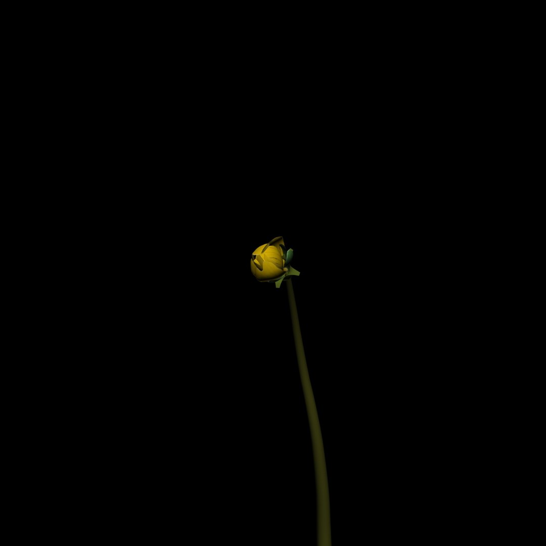 3D Flowers Open Animation Model - TurboSquid 1589263