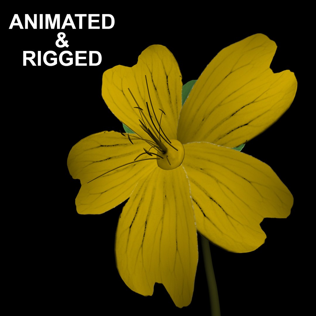 3D Flowers Open Animation Model - TurboSquid 1589263
