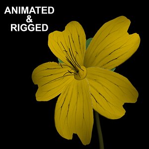 3D flowers open animation model