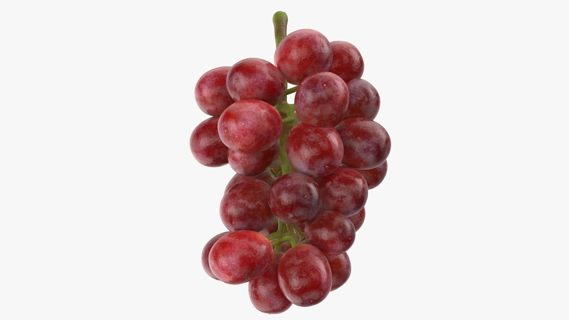 Bunch Grapes 04 3D model https://p.turbosquid.com/ts-thumb/zd/xu05rY/0j/grapes04_0005/png/1777754403/1920x1080/fit_q87/8b16255051e8653c18d504d35be5c9323b8c3046/grapes04_0005.jpg