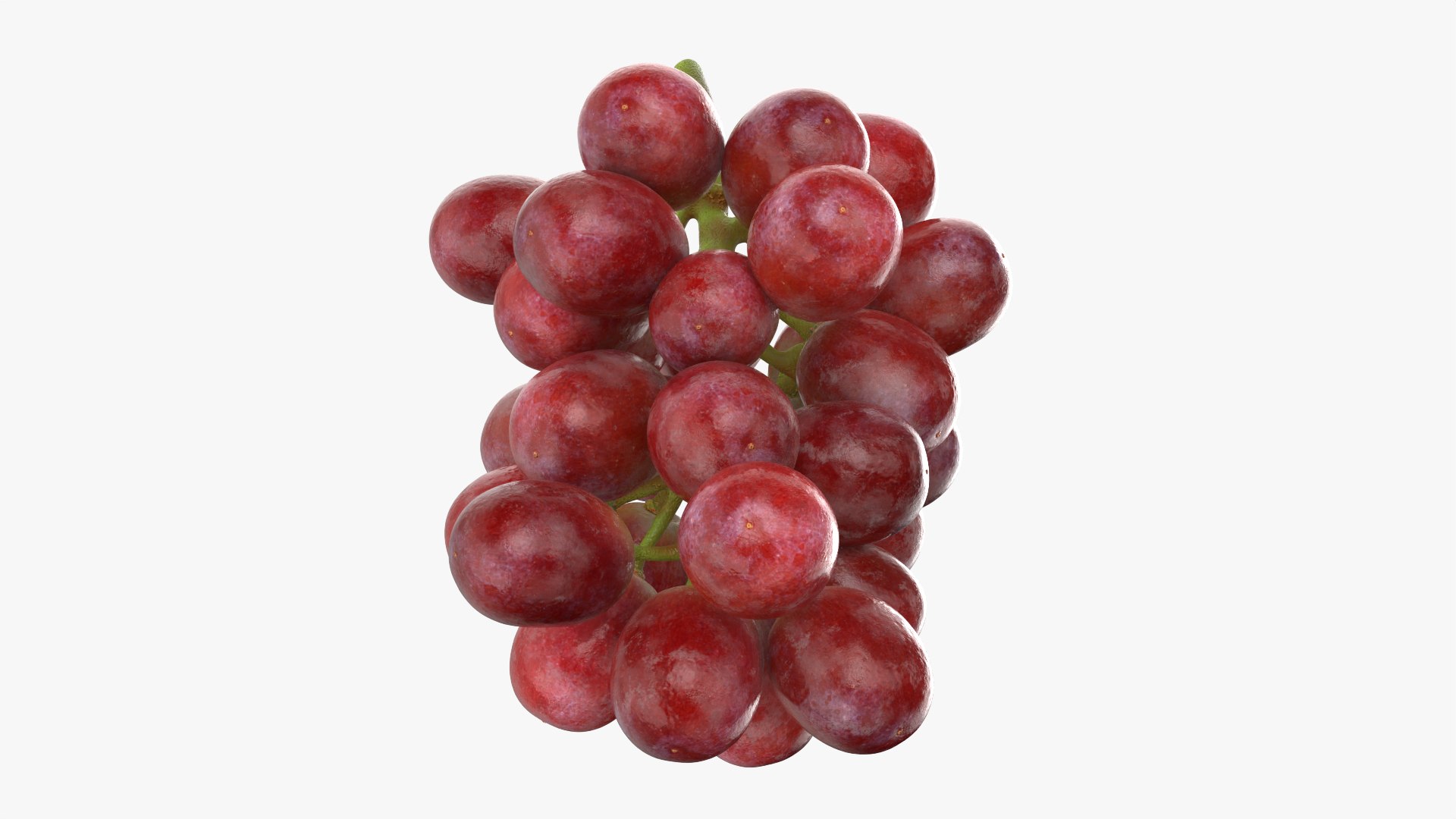 Bunch Grapes 04 3D model https://p.turbosquid.com/ts-thumb/zd/xu05rY/5C/grapes04_0008/png/1777754421/1920x1080/fit_q87/b95e22222abeb6a8df77e6a002df0ad33c9f1b14/grapes04_0008.jpg