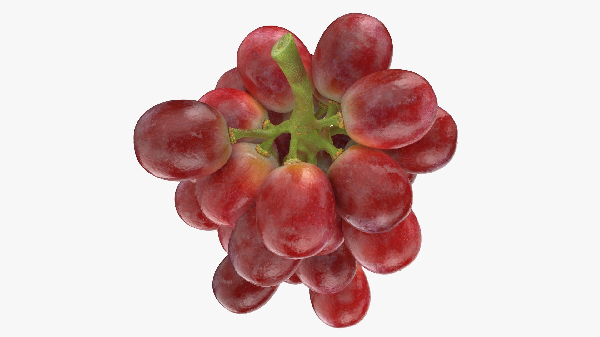 Bunch Grapes 04 3D model https://p.turbosquid.com/ts-thumb/zd/xu05rY/G0/grapes04_0011/png/1777754420/1920x1080/fit_q87/a9b3b903eed144f6a7c173335664e46cca6a0fdf/grapes04_0011.jpg