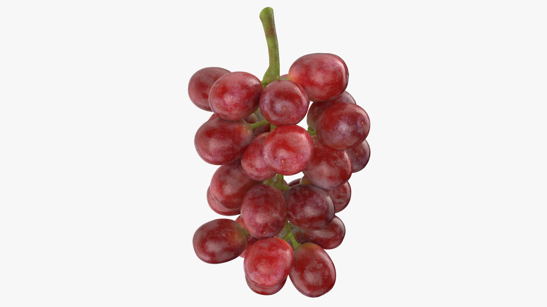 Bunch Grapes 04 3D model https://p.turbosquid.com/ts-thumb/zd/xu05rY/Ox/grapes04_0004/png/1777754407/1920x1080/fit_q87/1062cf0f05d9b1d0391f97387b633313988e00de/grapes04_0004.jpg
