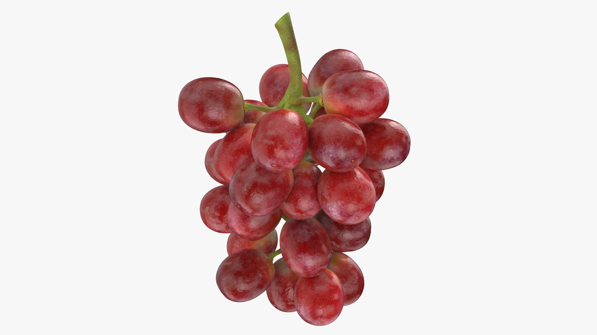 Bunch Grapes 04 3D model https://p.turbosquid.com/ts-thumb/zd/xu05rY/S0/grapes04_0007/png/1777754410/1920x1080/fit_q87/a175fe5f759e8703bea29e11371509648225d83b/grapes04_0007.jpg
