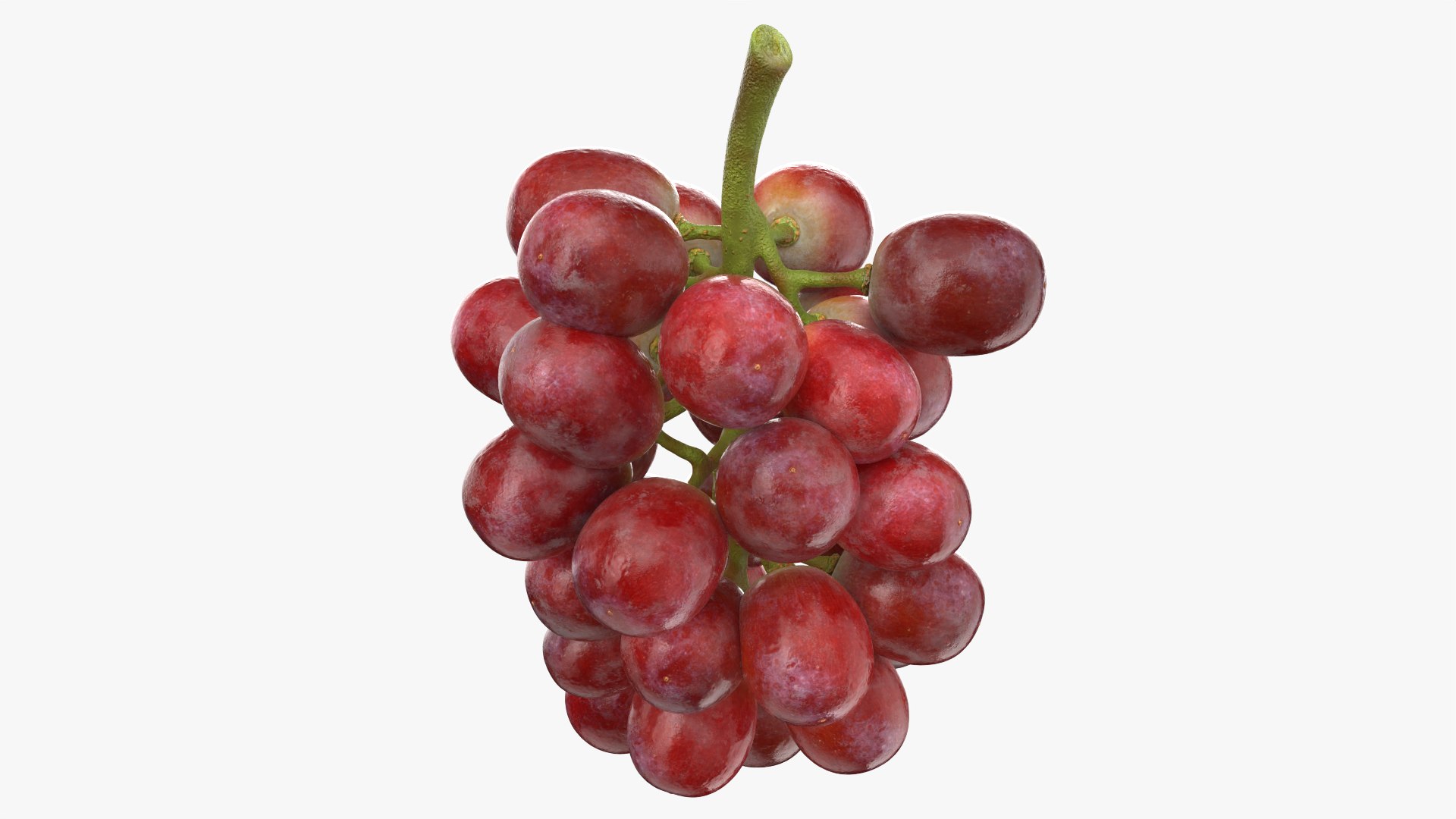 Bunch Grapes 04 3D model https://p.turbosquid.com/ts-thumb/zd/xu05rY/Tm/grapes04_0010/png/1777754415/1920x1080/fit_q87/2f705a7288904f9bcebc81070b9e5e5aa76680c3/grapes04_0010.jpg