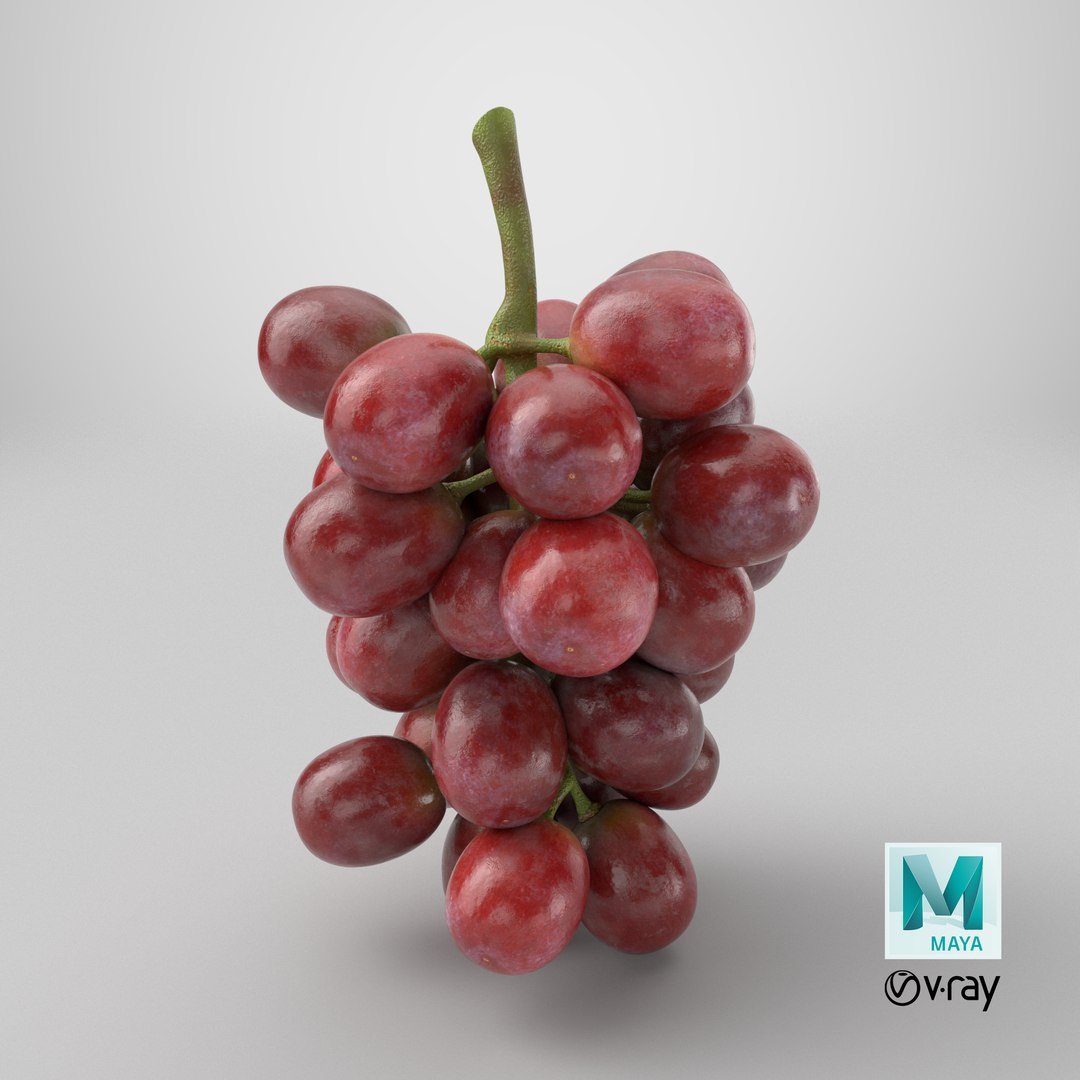 Bunch Grapes 04 3D model https://p.turbosquid.com/ts-thumb/zd/xu05rY/VB/stemcell_maya_vray_render/png/1778599383/1920x1080/fit_q87/e5133b13bdddc2d46d7dd50c8a85b74de6c971f0/stemcell_maya_vray_render.jpg