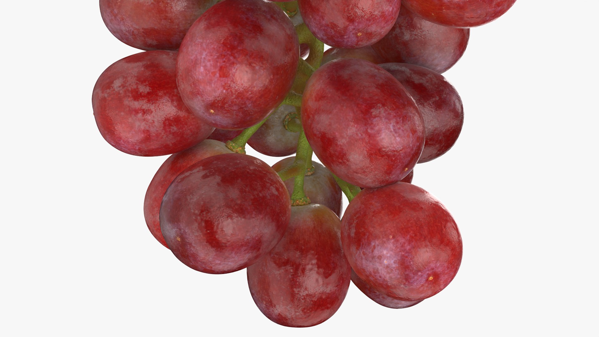 Bunch Grapes 04 3D model https://p.turbosquid.com/ts-thumb/zd/xu05rY/XJ/grapes04_0012/png/1777754426/1920x1080/fit_q87/d26010bf26942387f91ed436b0a51a2d5b984c4c/grapes04_0012.jpg