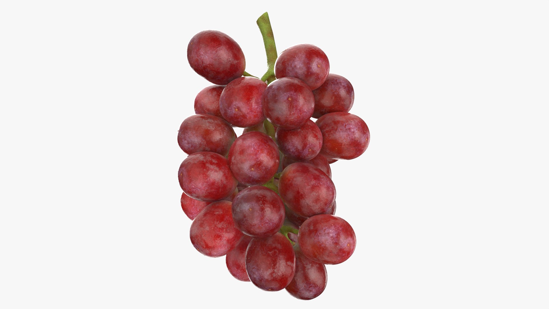 Bunch Grapes 04 3D model https://p.turbosquid.com/ts-thumb/zd/xu05rY/fw/grapes04_0003/png/1777754397/1920x1080/fit_q87/2aed80d5a19eadddfc12a9382cfc950d7c0565f1/grapes04_0003.jpg