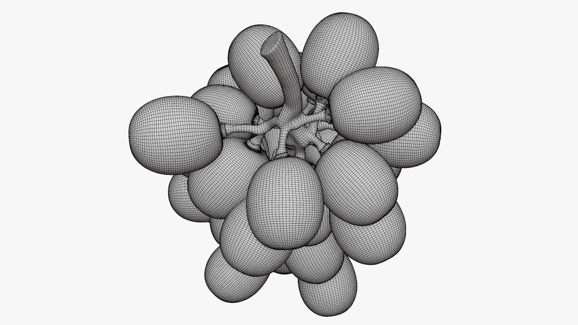 Bunch Grapes 04 3D model https://p.turbosquid.com/ts-thumb/zd/xu05rY/gE/grapes04_d0011/png/1777754430/1920x1080/fit_q87/488256a2dbe53c3cbf4d52424729807faf44389a/grapes04_d0011.jpg