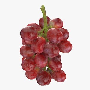Bunch Grapes 04 3D model
