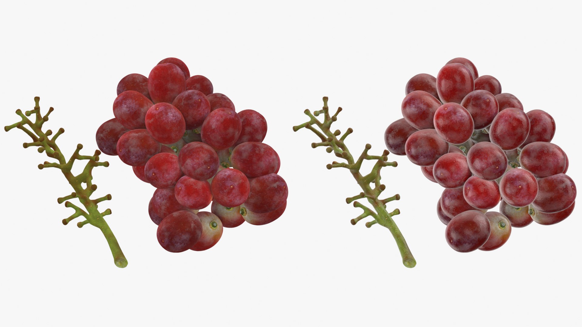 Bunch Grapes 04 3D model https://p.turbosquid.com/ts-thumb/zd/xu05rY/kX/grapes04_0001c/png/1777754391/1920x1080/fit_q87/d573a4a3d49447342f608a2869ec164cea304e09/grapes04_0001c.jpg
